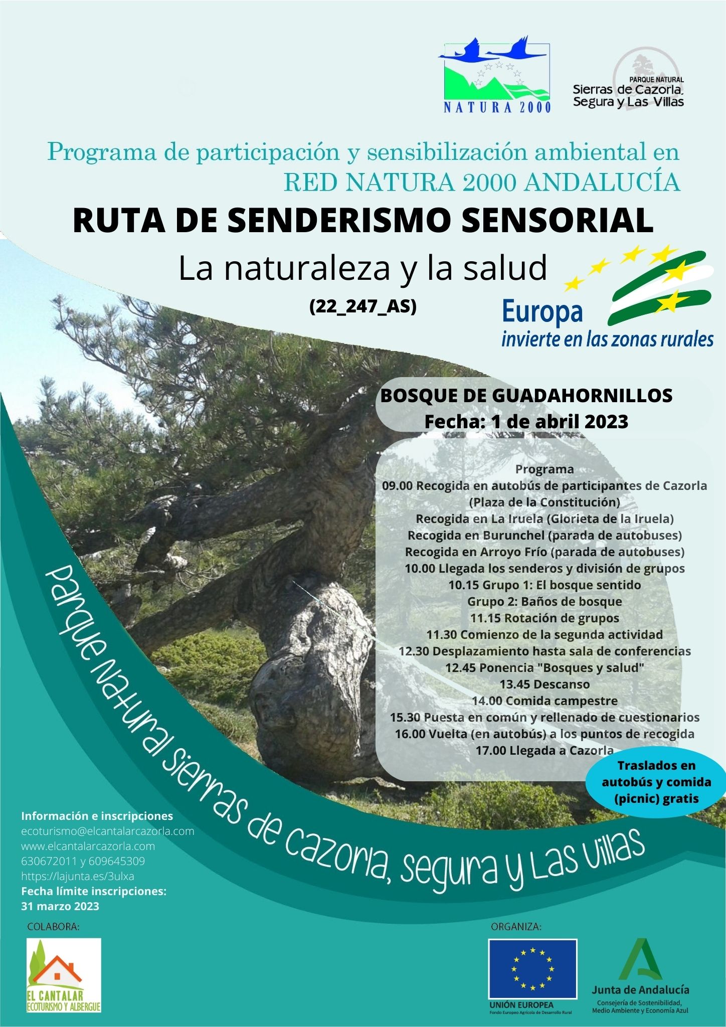 Imagen ilustrativa del cartel publicitario de la actividad