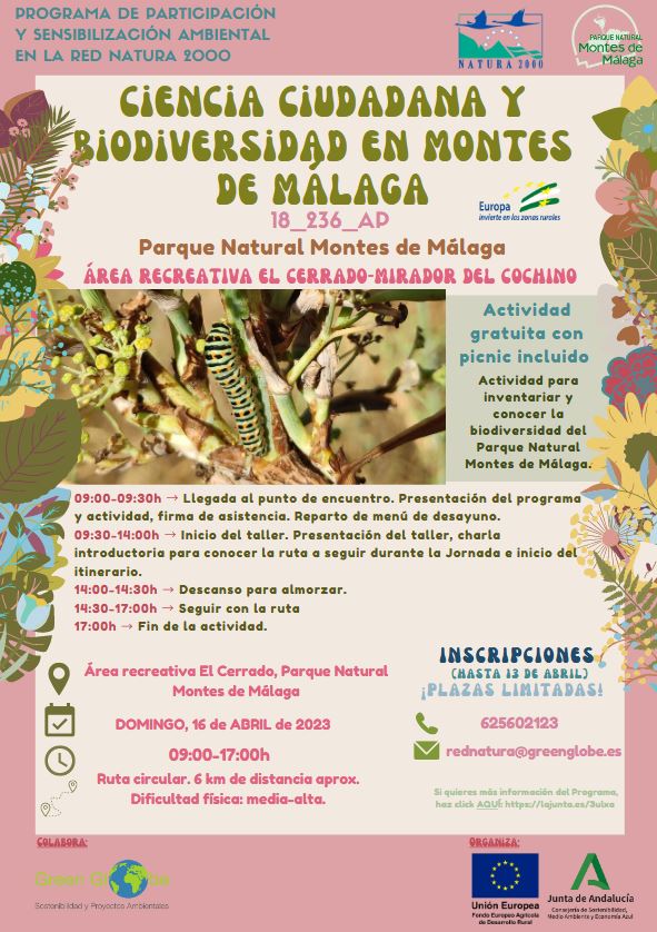Cartel de la actividad