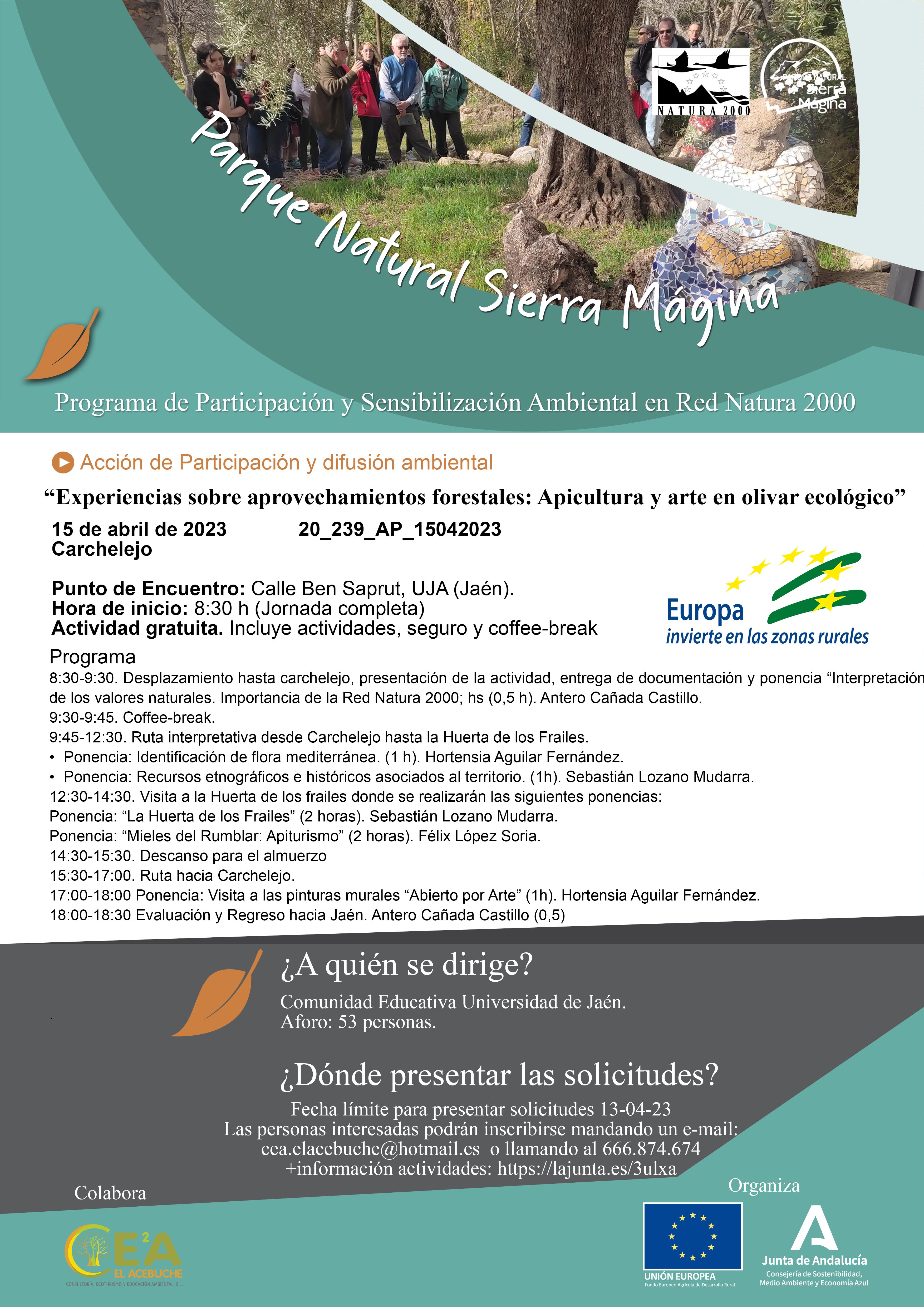 Cartel de la actividad