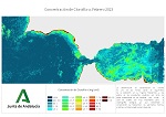 Imágen de concentración de Clorofila-a. Febrero 2023