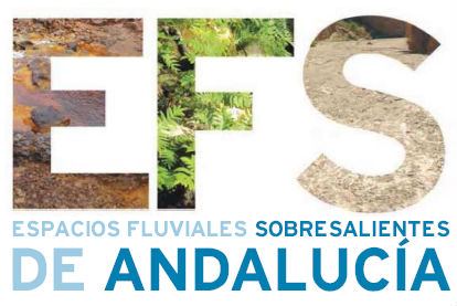 Portada de la publicación