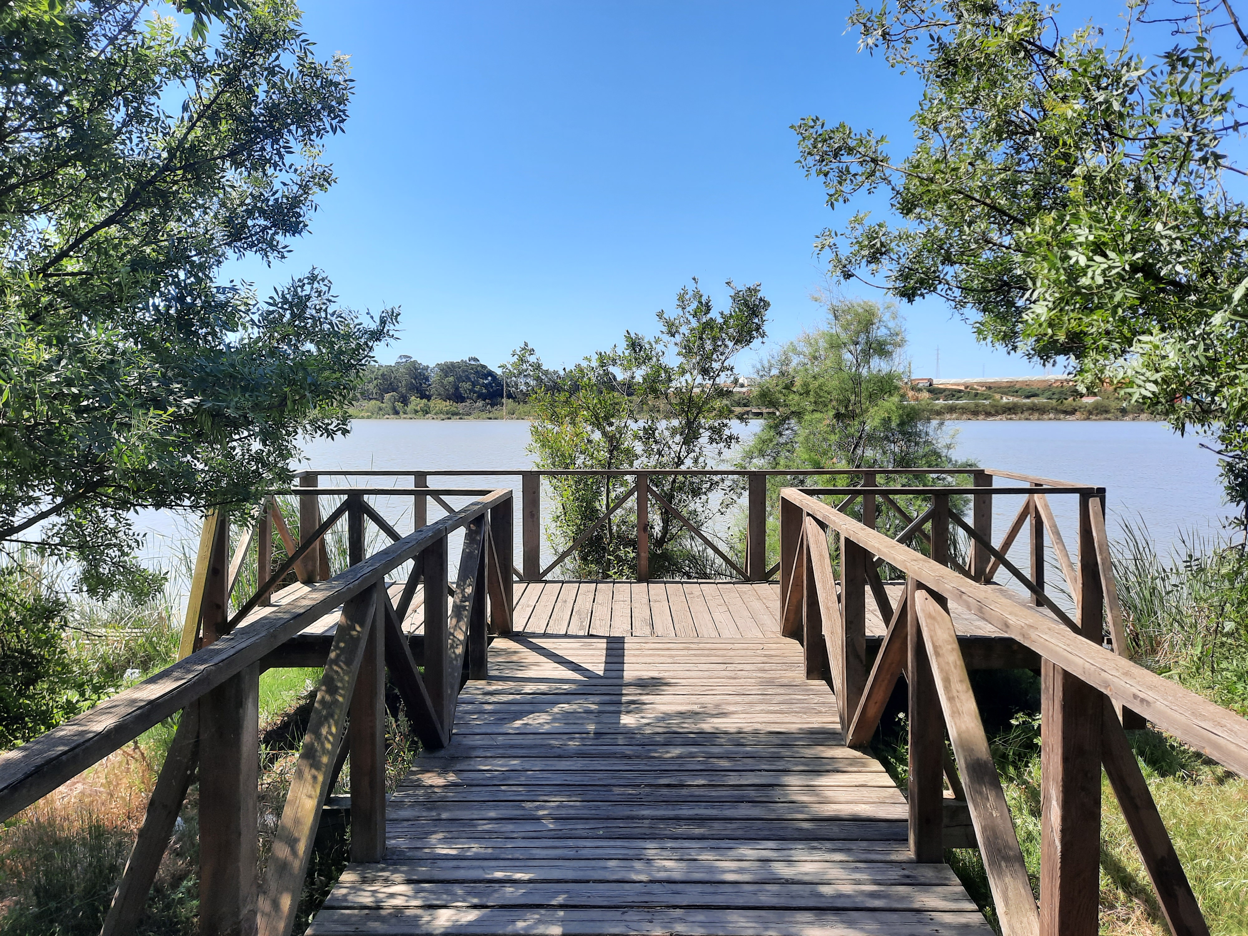 EL ESTERO