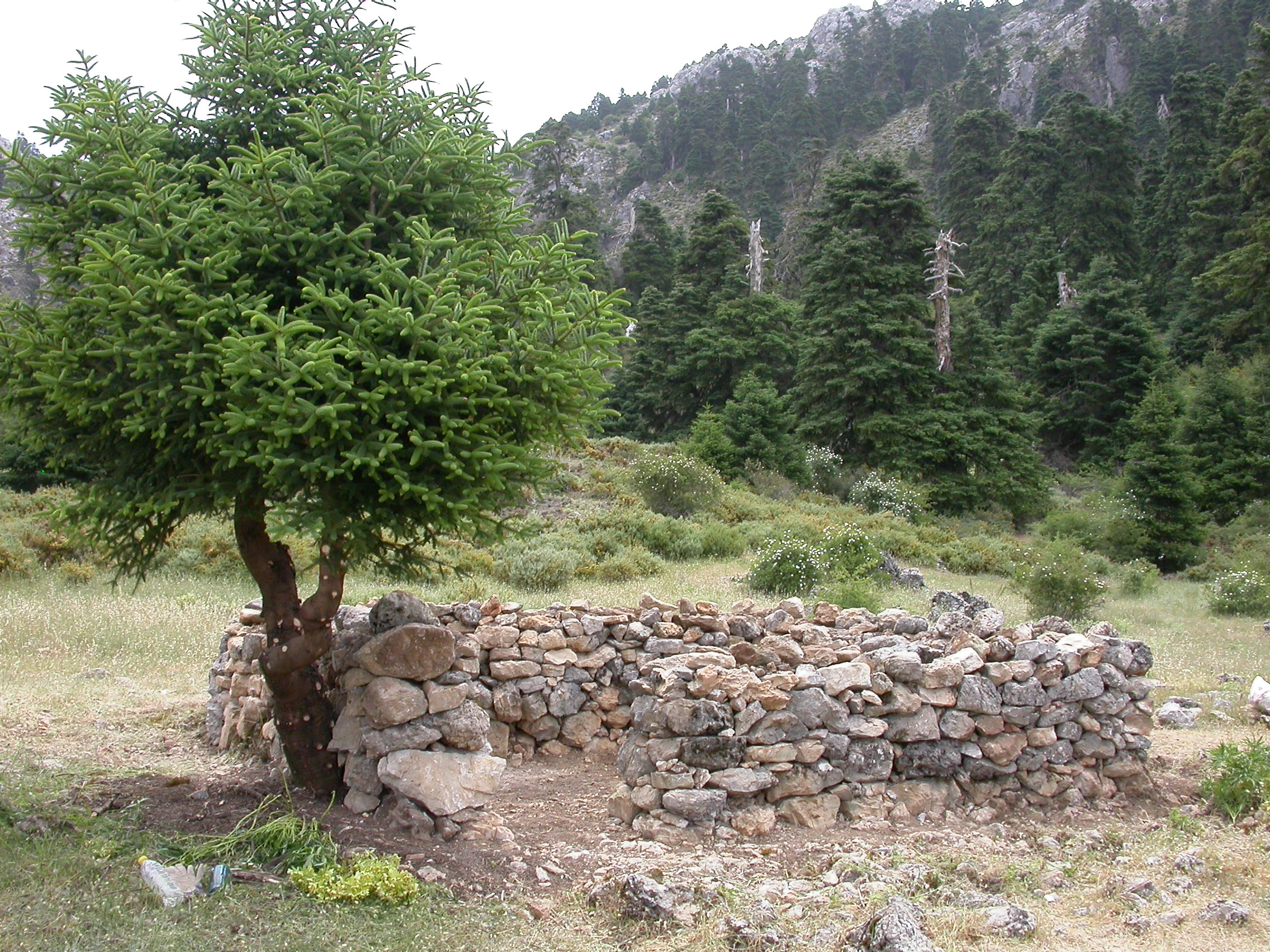 Caseta Frasquito el Guarda (Autor: Juan José Jiménez)