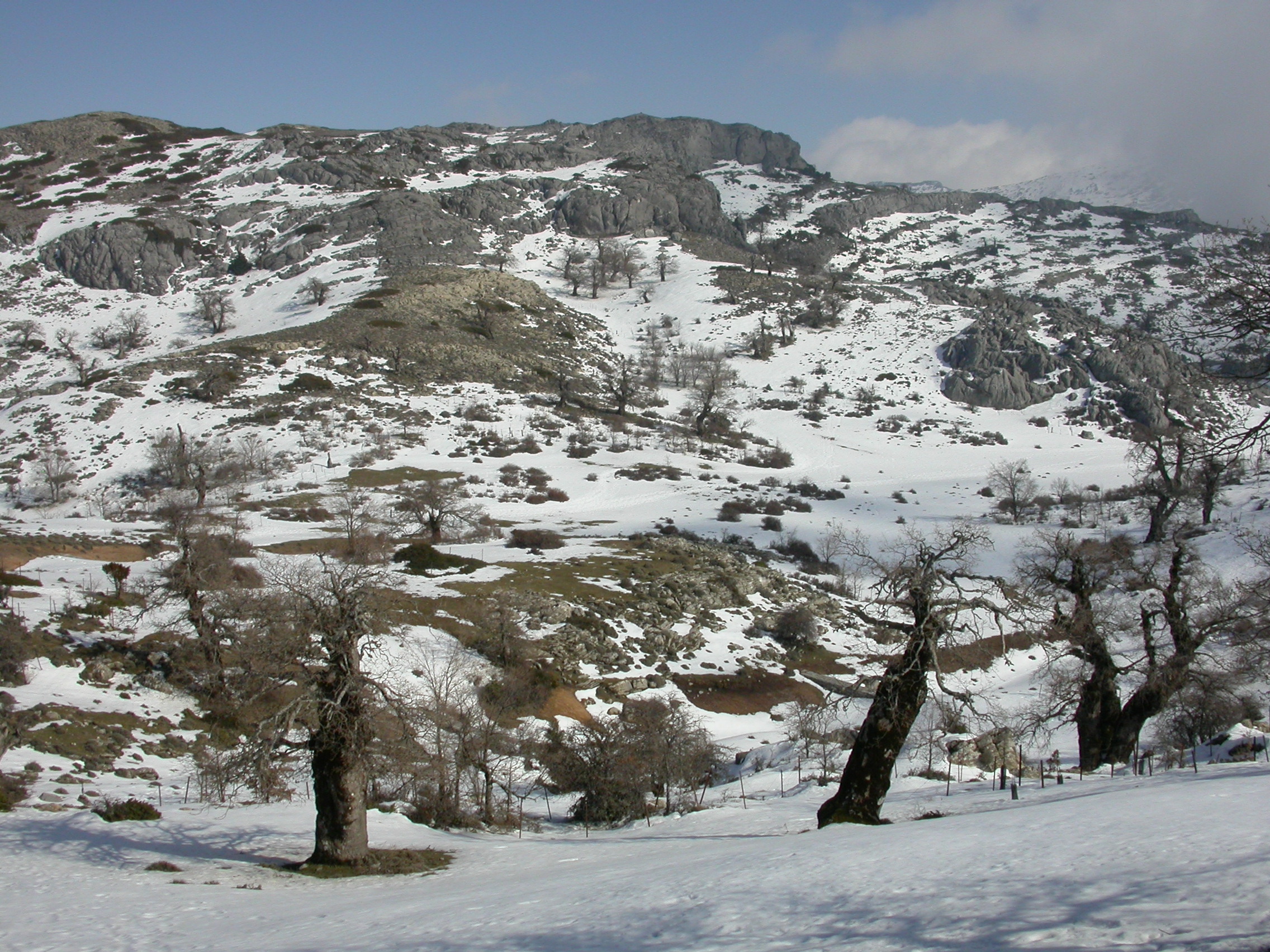 Parque Natural Sierra de las Nieves