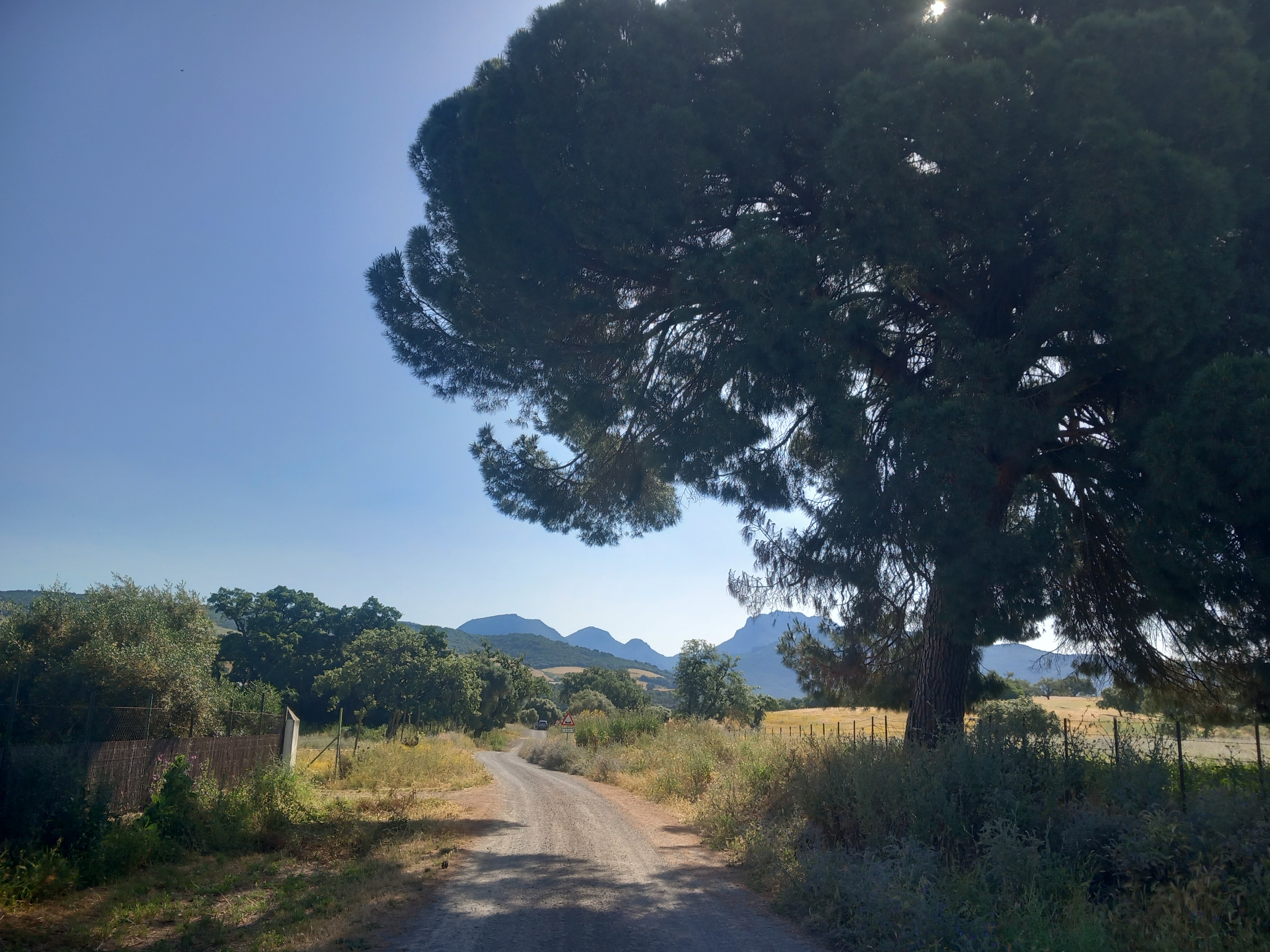 Recorrido del carril cicloturista