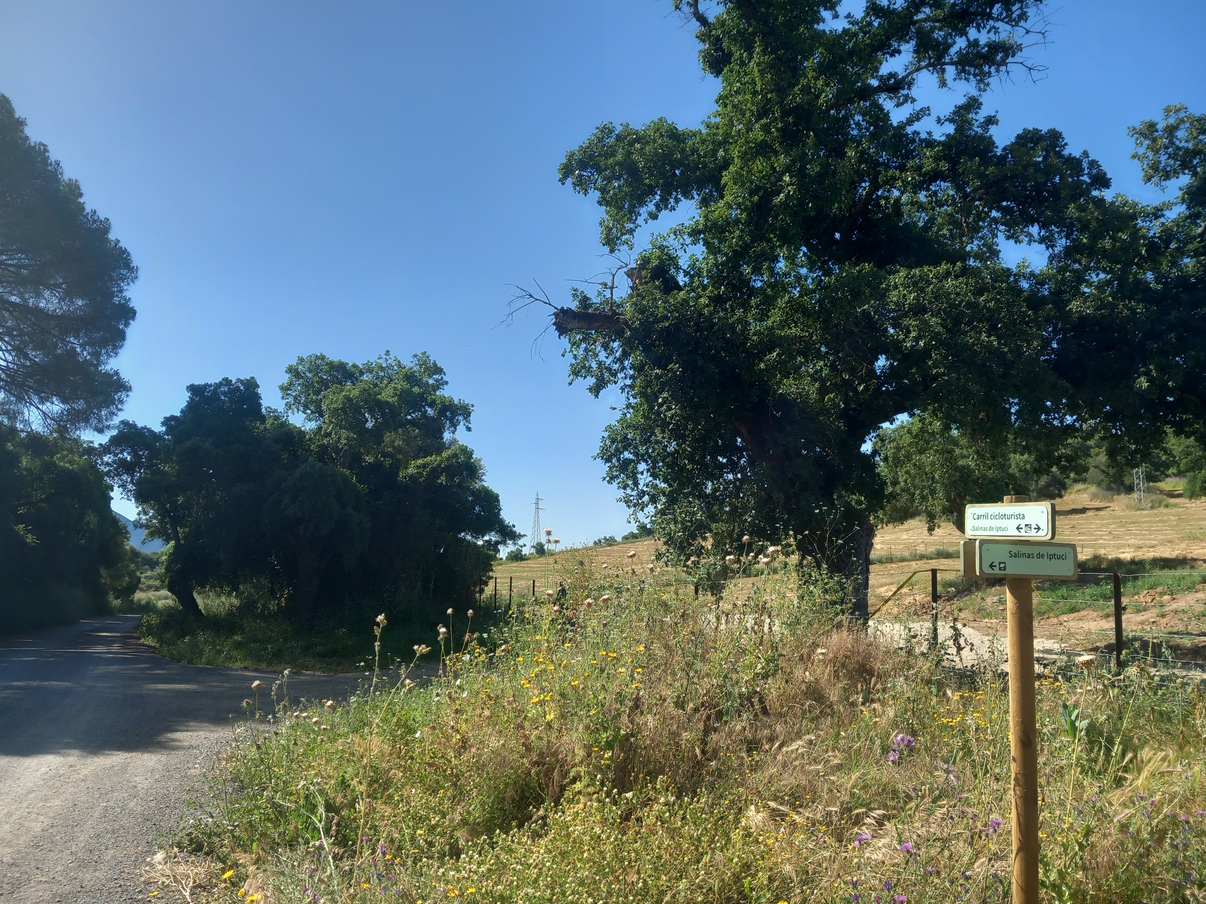 Recorrido del carril cicloturista