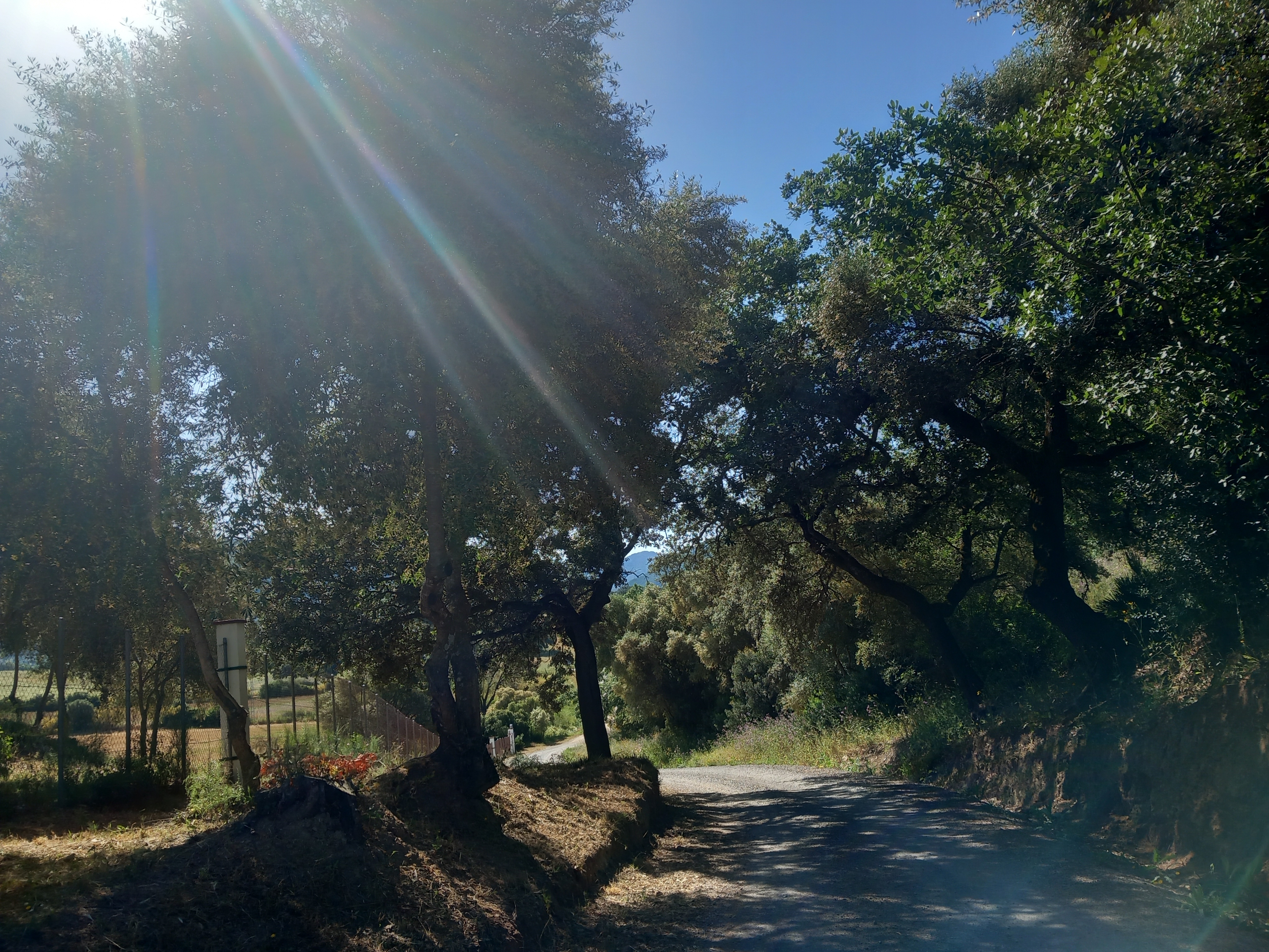 Recorrido del carril cicloturista