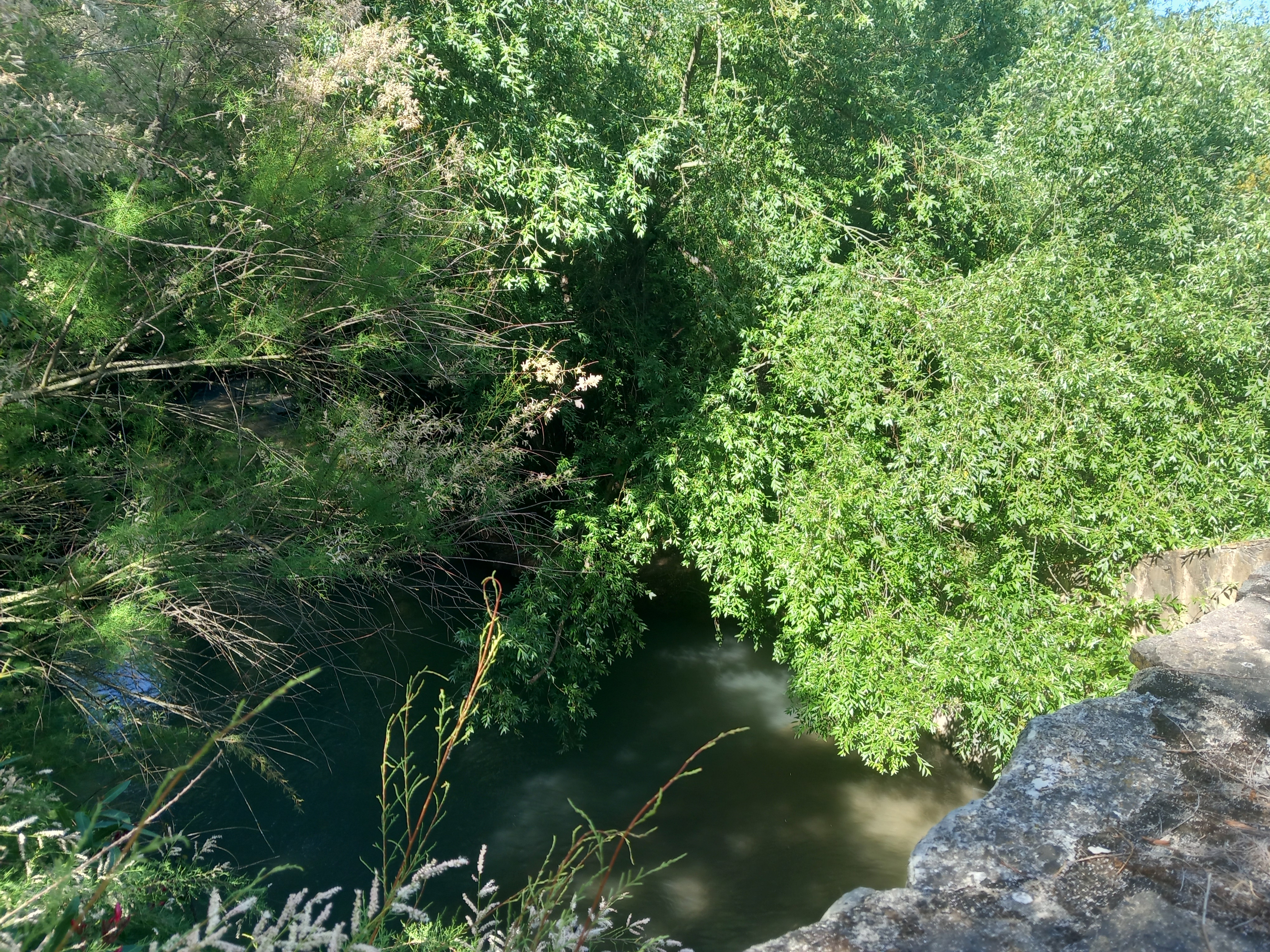 paso del río