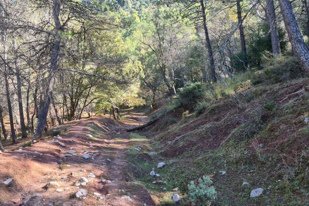 CAMINO DE LAS TRES FUENTES