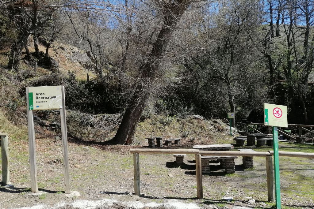 CAPILEIRA