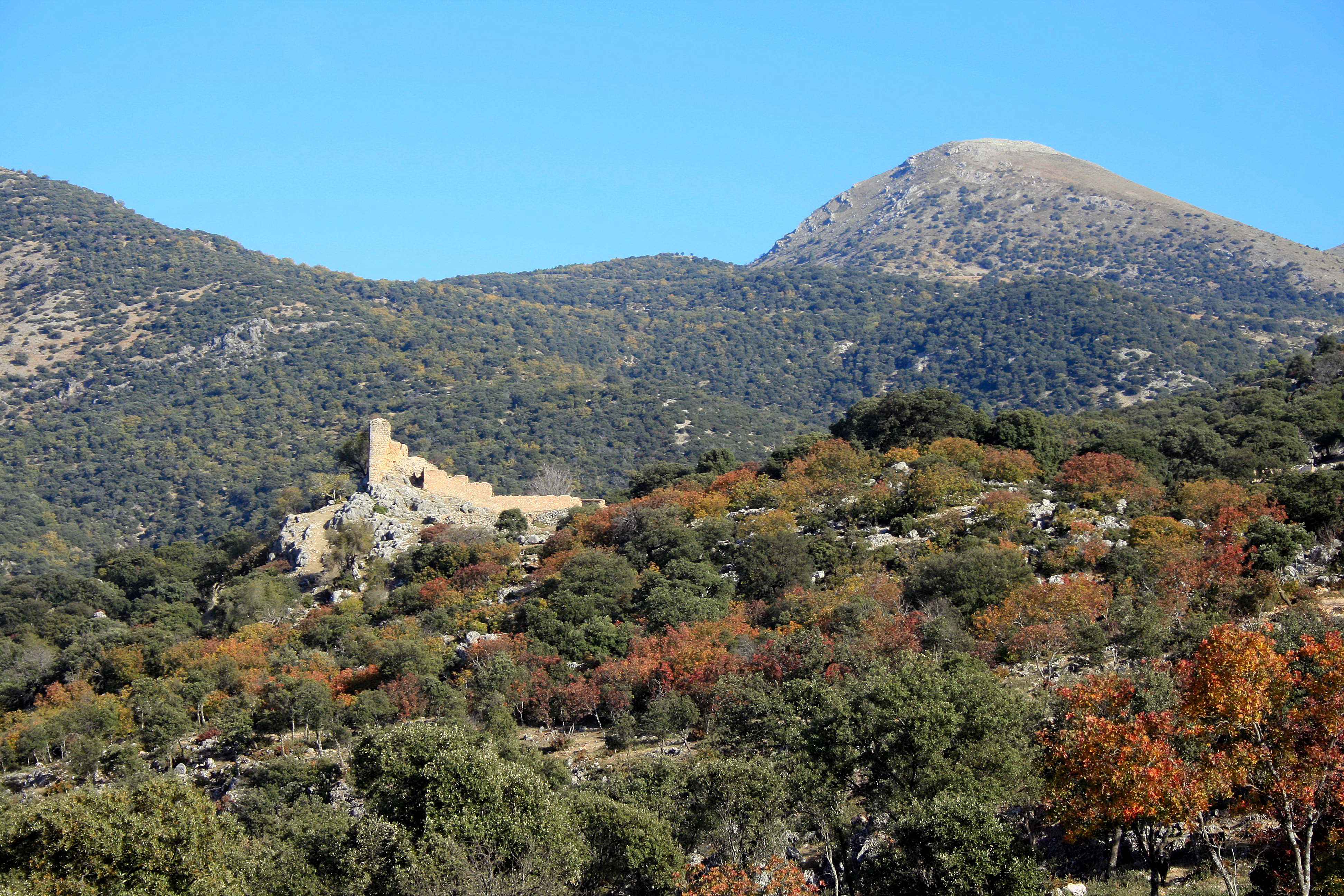 CASTILLO DE MATA BEJID