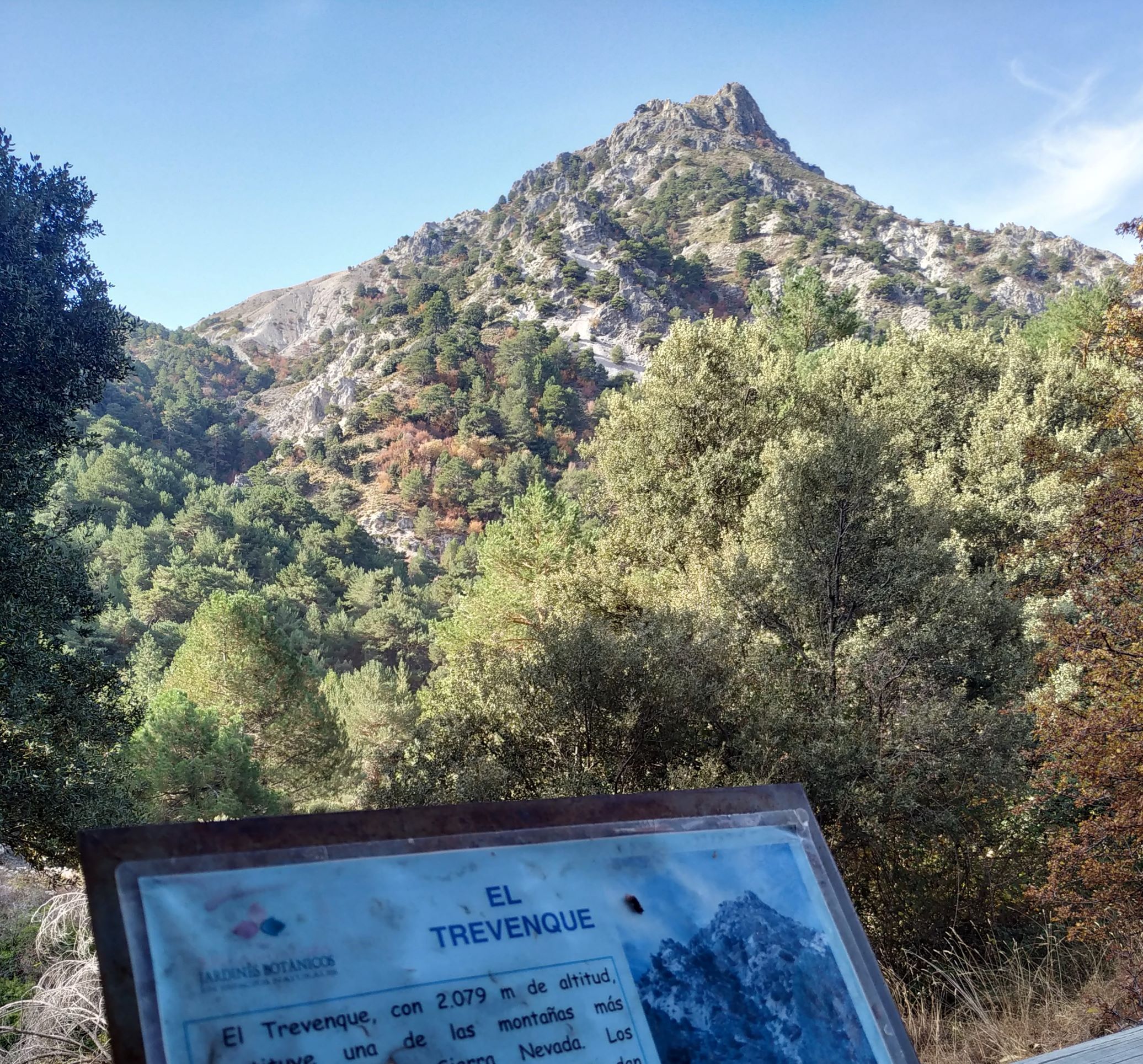 BOTÁNICO LA CORTIJUELA