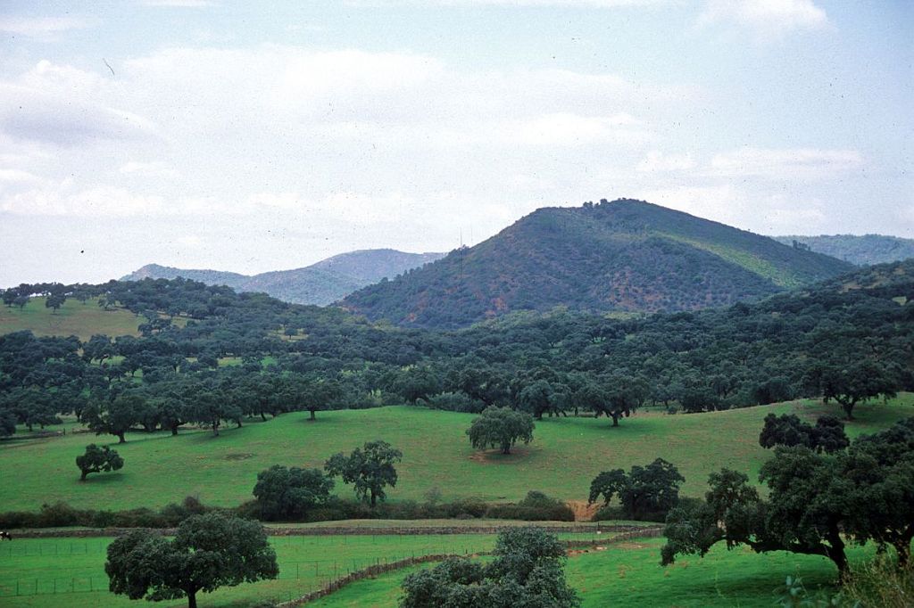 Marca Parque Natural - Sierra de Aracena y Picos de Aroche