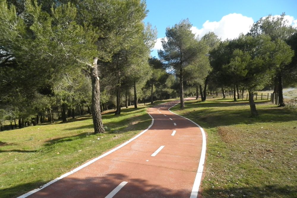 LA ZUBIA- CUMBRES VERDES