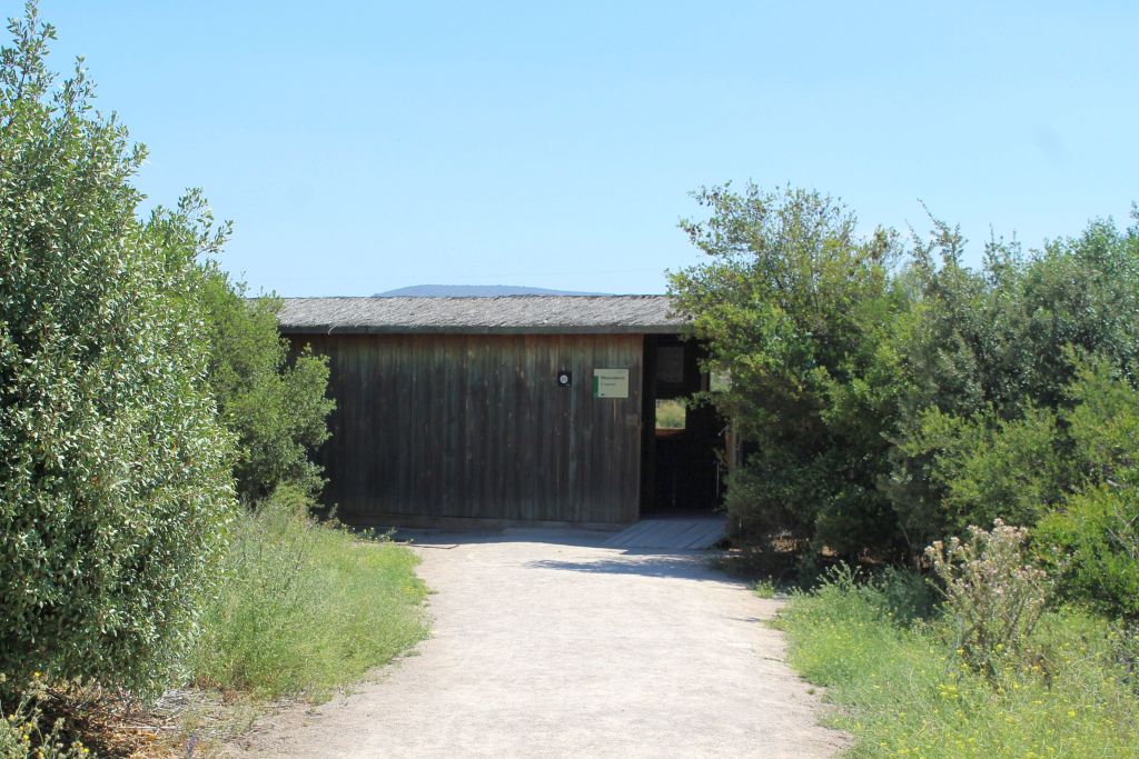 EL LAGUNETO