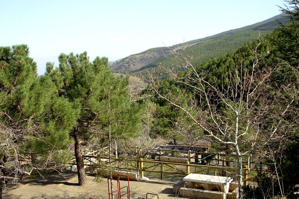 LA ROZA