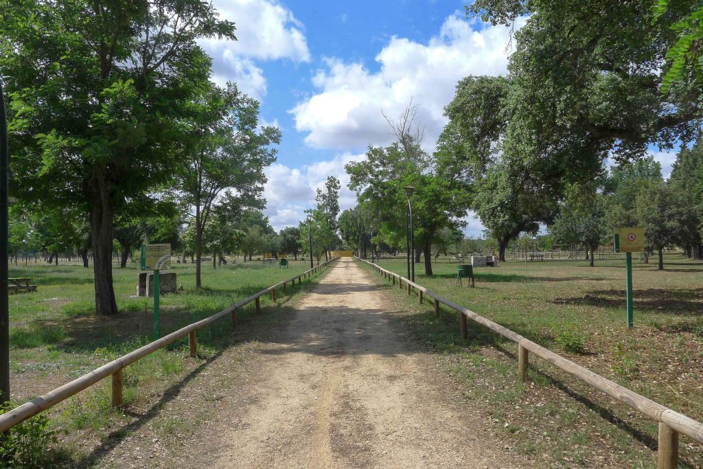 DEHESA BOYAL-POLIDEPORTIVO