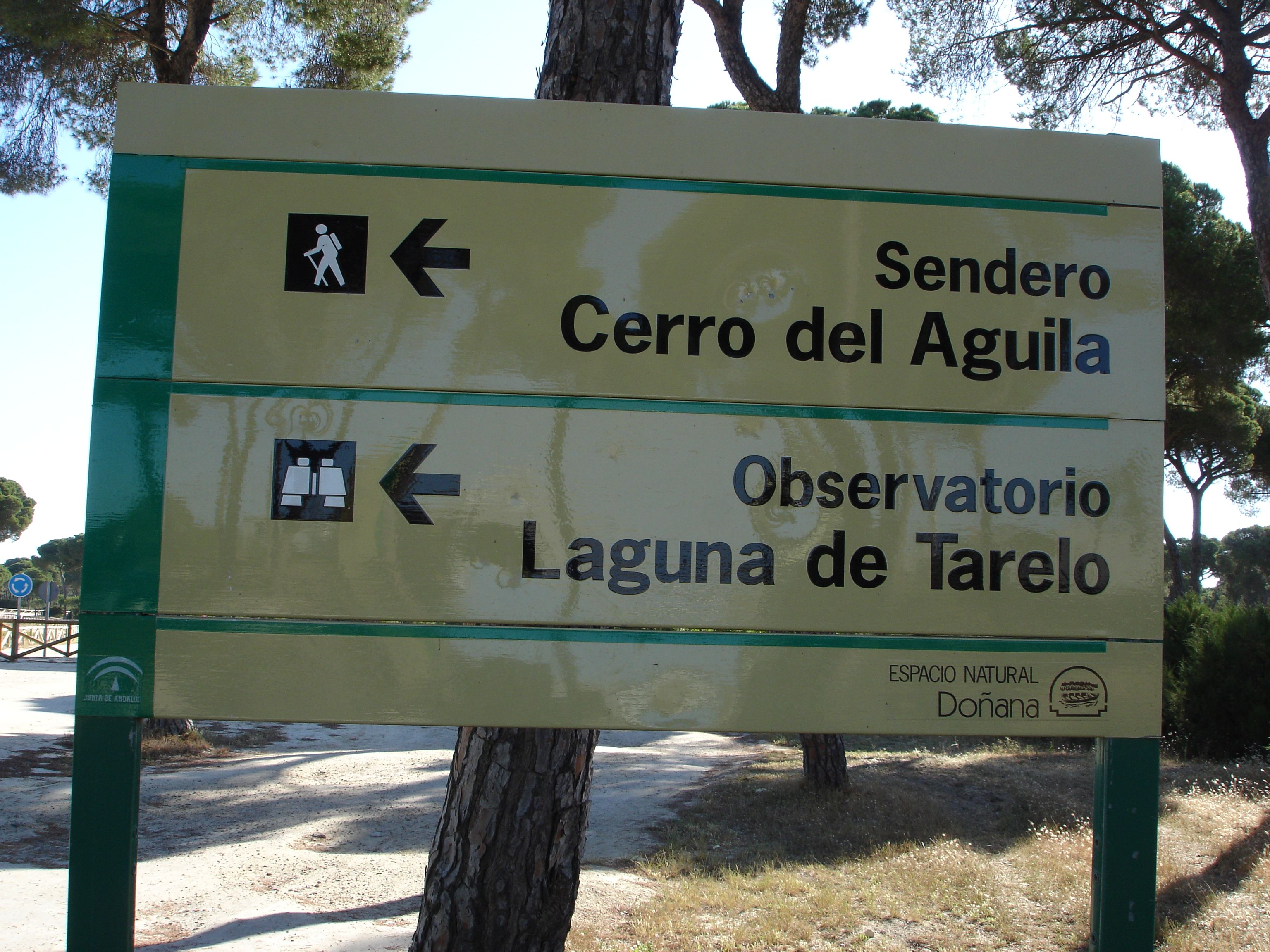 CERRO DEL ÁGUILA