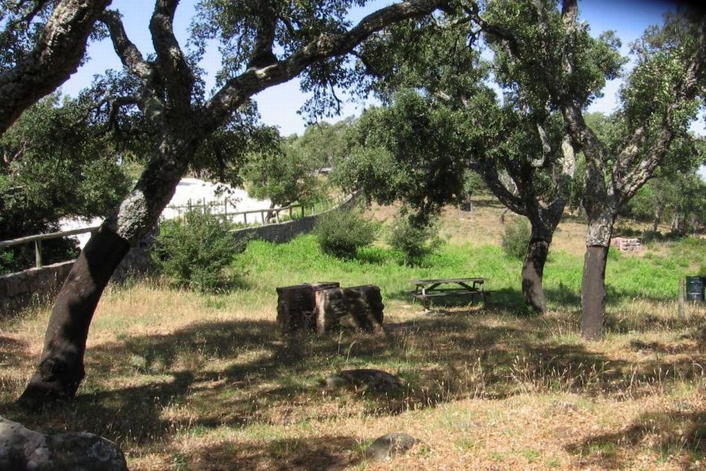 EL PICACHO