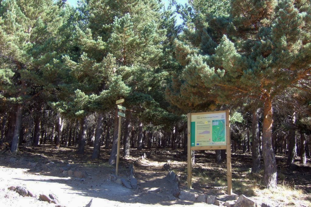 HOYA DEL PORTILLO - REFUGIO DEL POQUEIRA