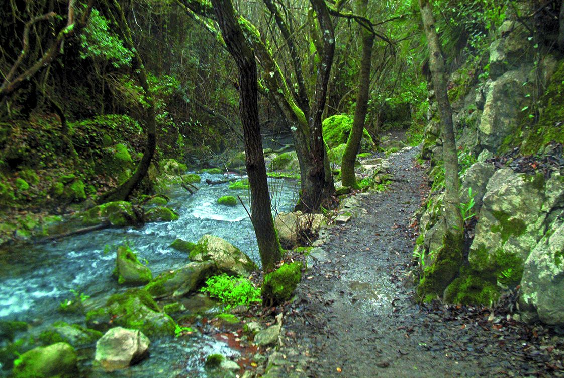 Rio majaceite, el bosque, cádiz, espanha