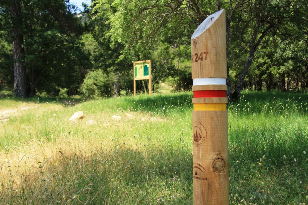  BOSQUES DEL SUR