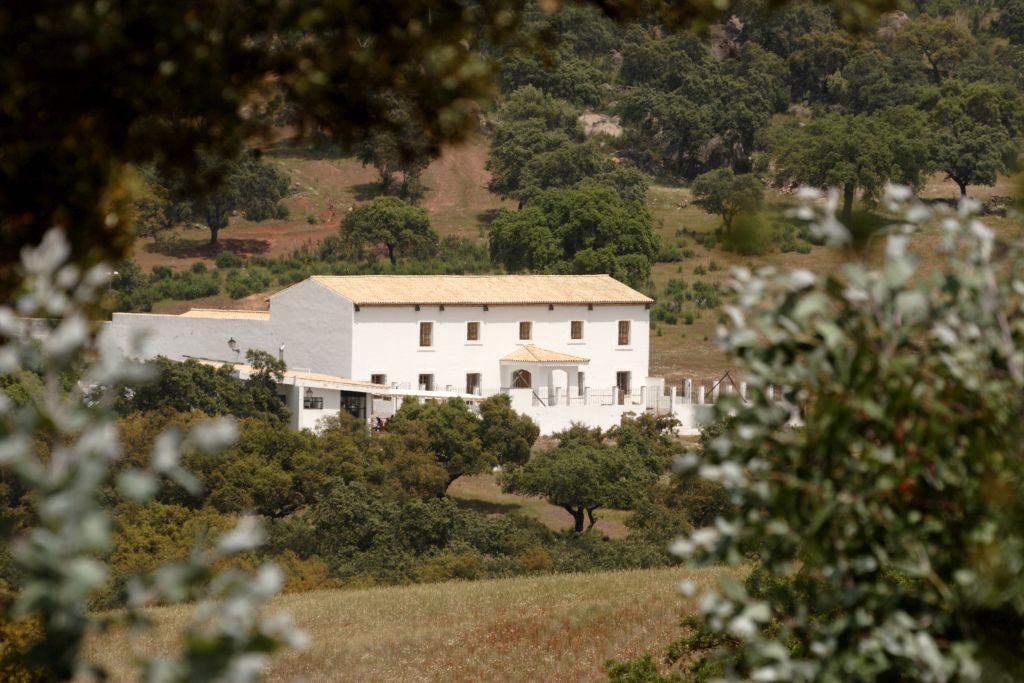 LAS RAÑAS