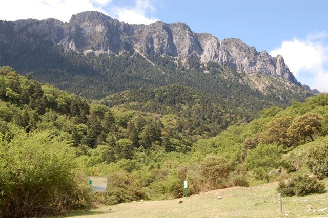 Rabel3.jpg