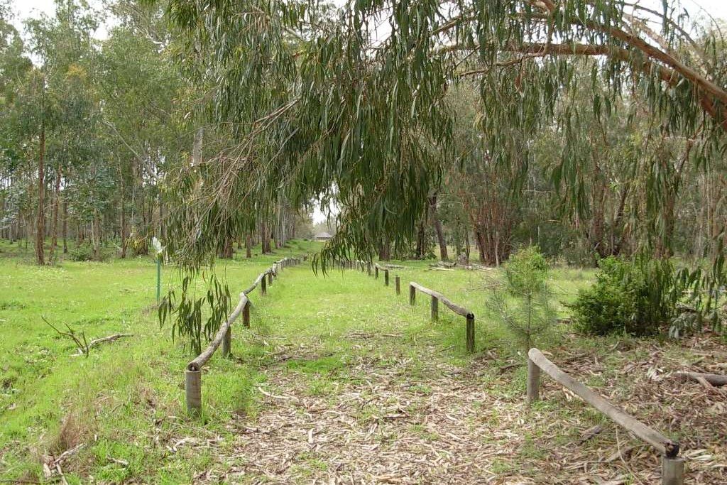 ARBORETO DEL VILLAR