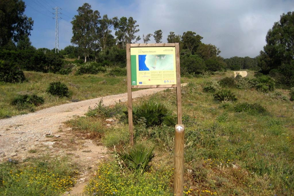 ALGARBES - BETIJUELO
