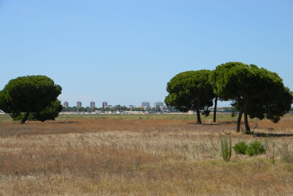 EL ALMENDRAL