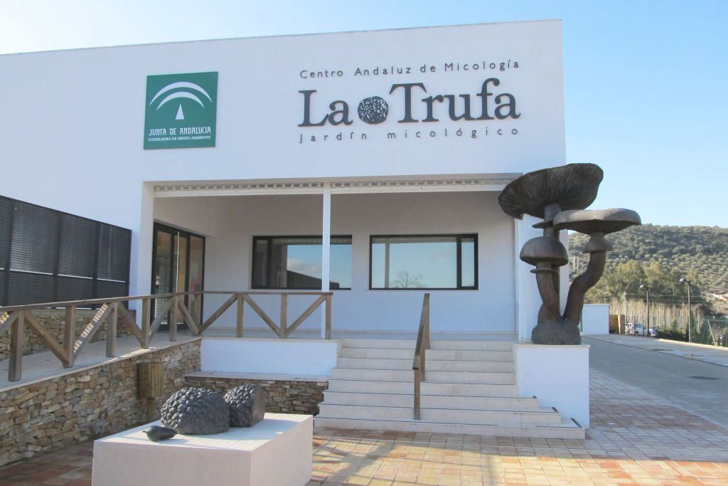 LA TRUFA