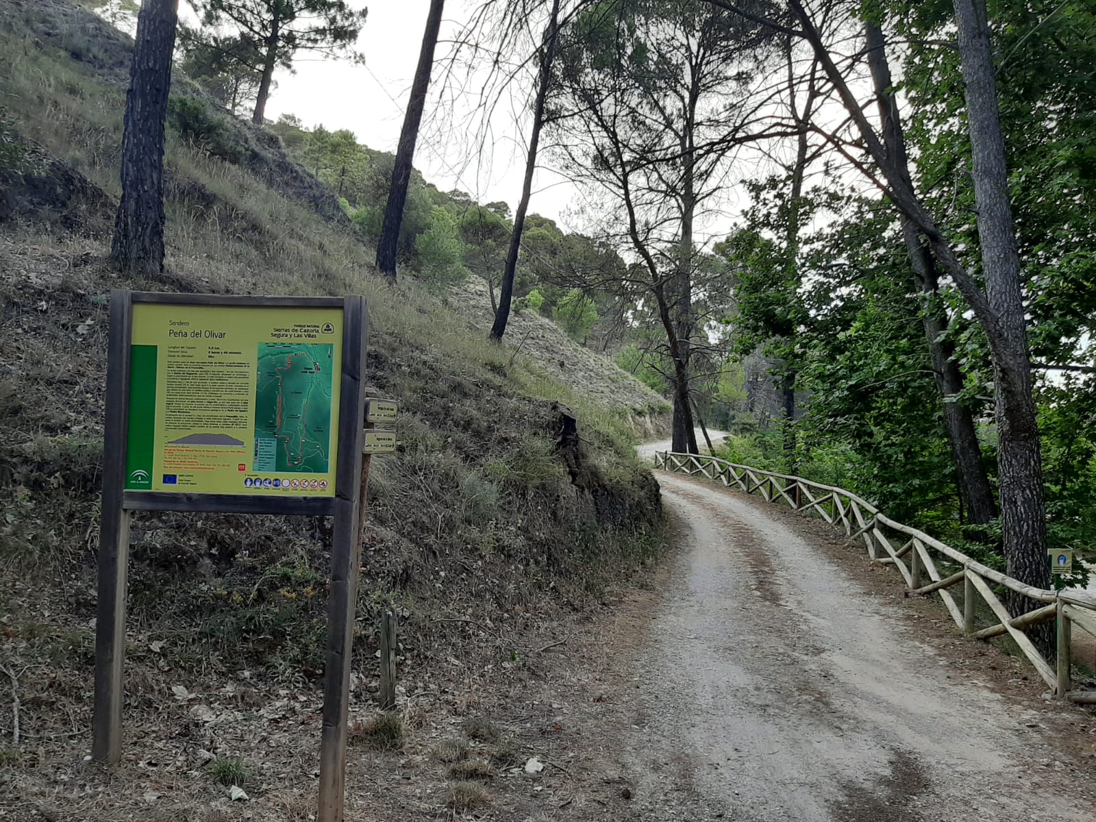 PEÑA DEL OLIVAR