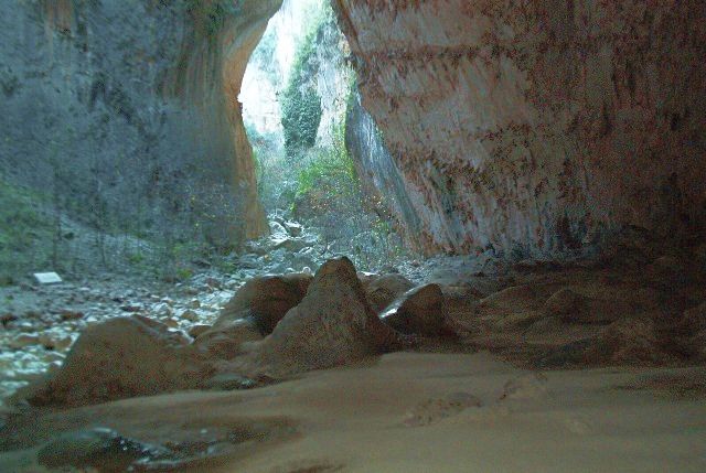 LA GARGANTA VERDE