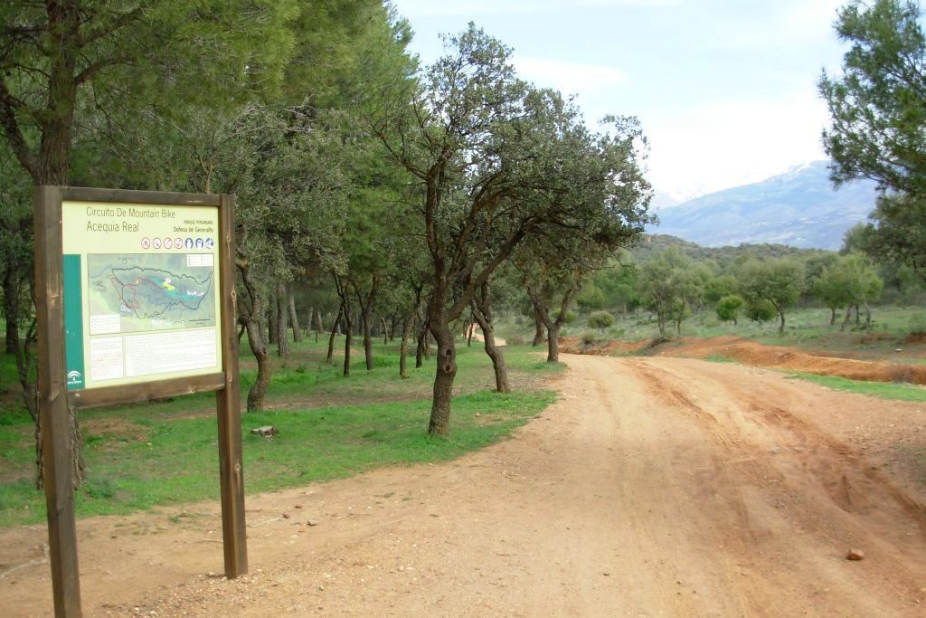 ACEQUIA DEL REAL