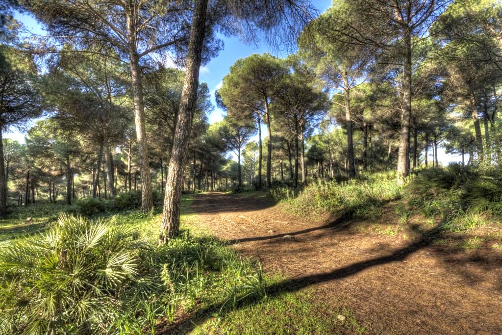 LA SIERREZUELA
