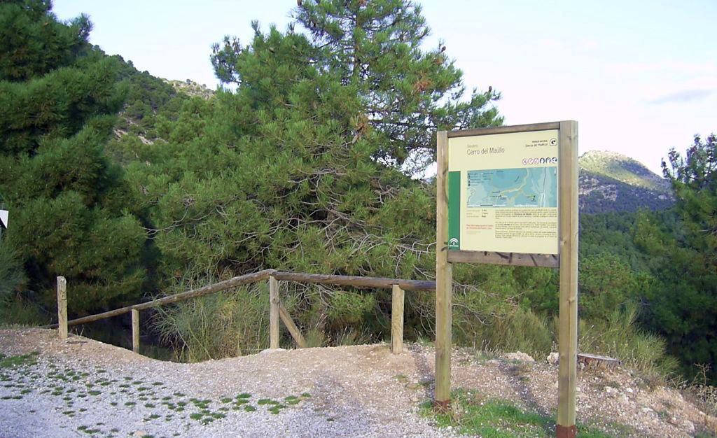 CERRO DEL MAÚLLO