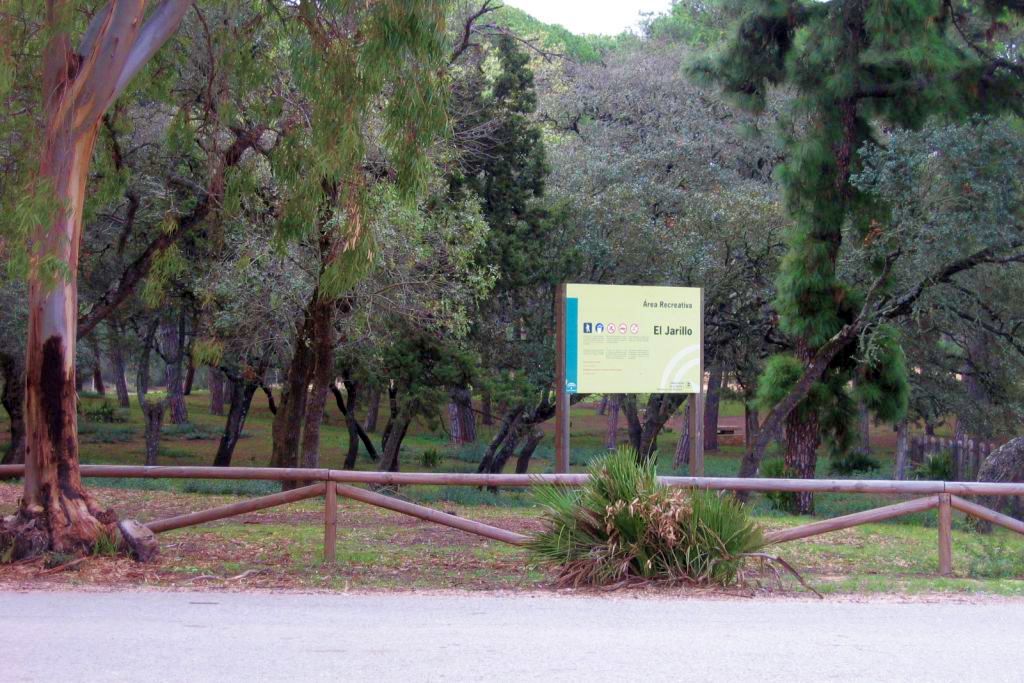 TORRE DE MECA