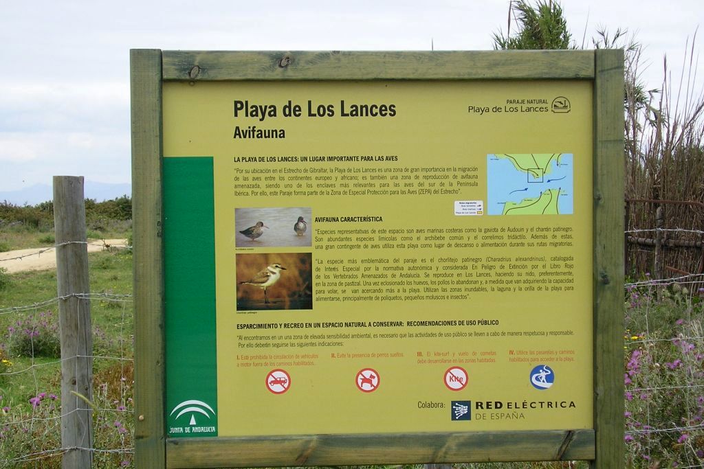 LOS LANCES