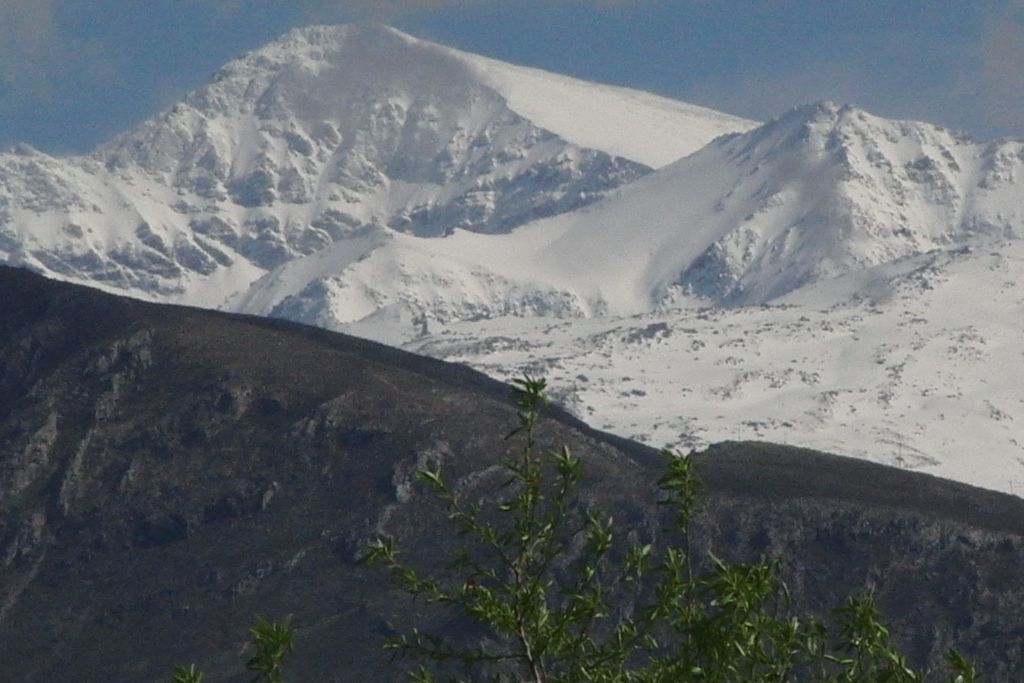 Raquetas de nieve por los bosques de Sierra Nevada - Web oficial