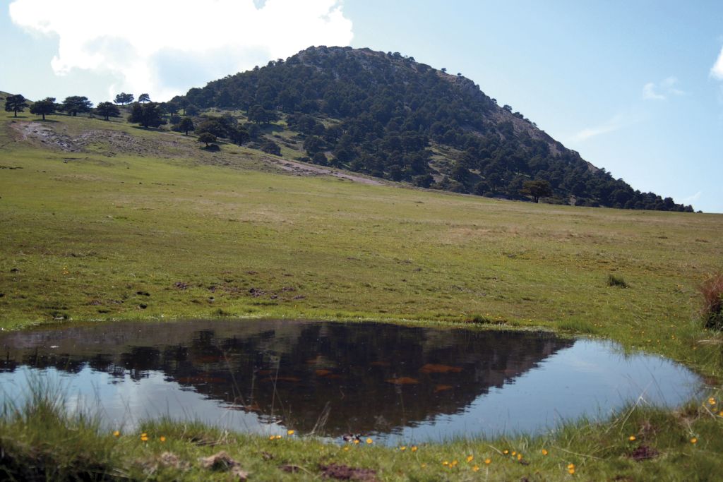 COLLADO DEL RESINERO