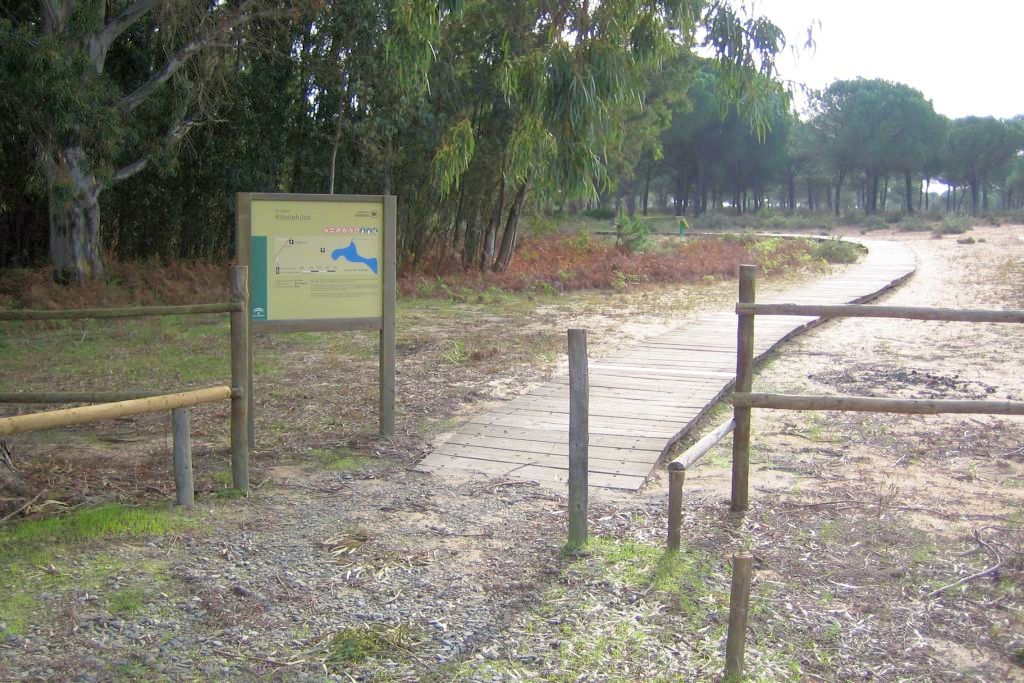 RIBETEHILO