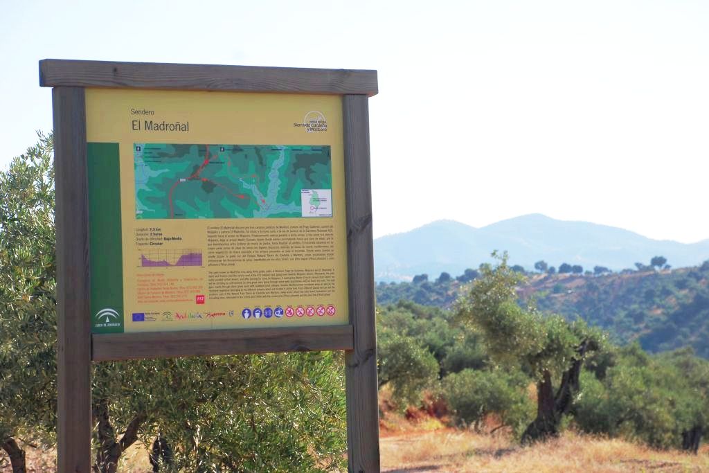 EL MADROÑAL