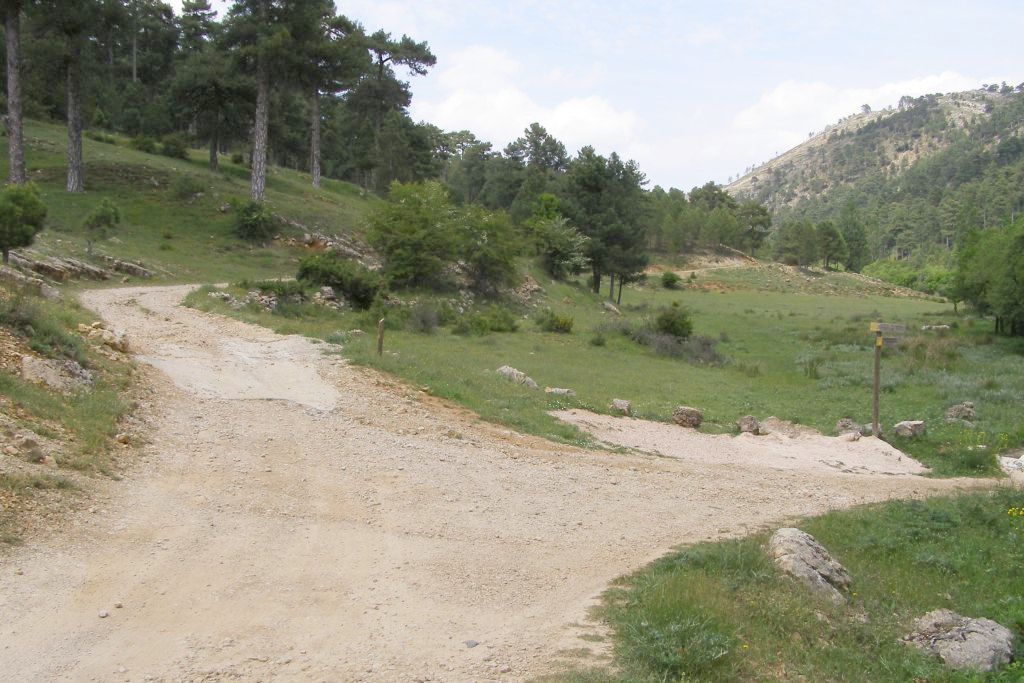 CAÑADA DEL SAUCAR