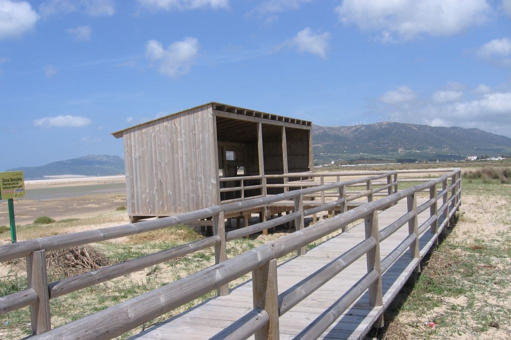 Playa de Los Lances - Official Andalusia tourism website