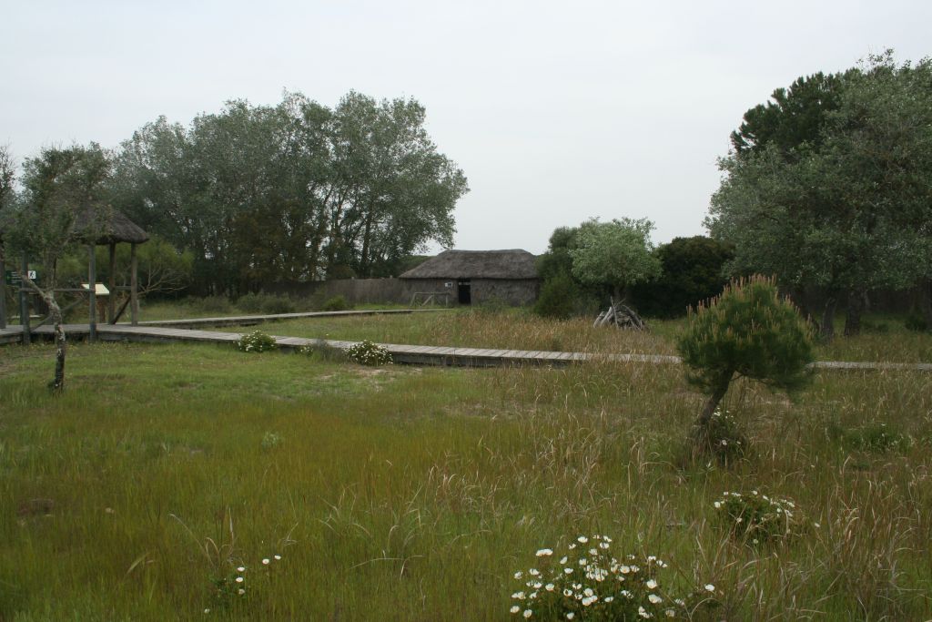 ZAMPULLÍN