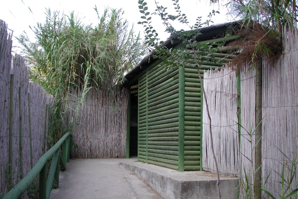 GALÁPAGO LEPROSO