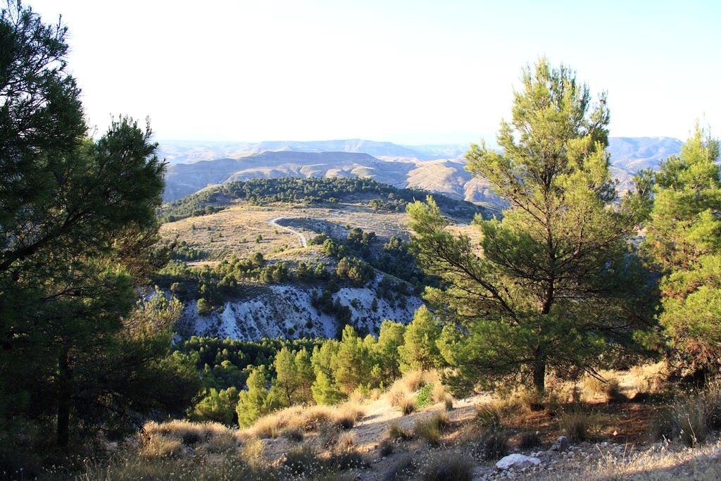 VEREDA DE ARROYO MOLINOS AL CERRILLO-CORDEL ROMERAL