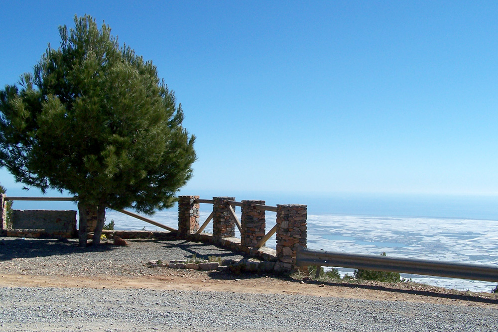 EL PALAÍN
