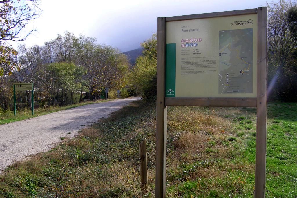 FUENMAYOR
